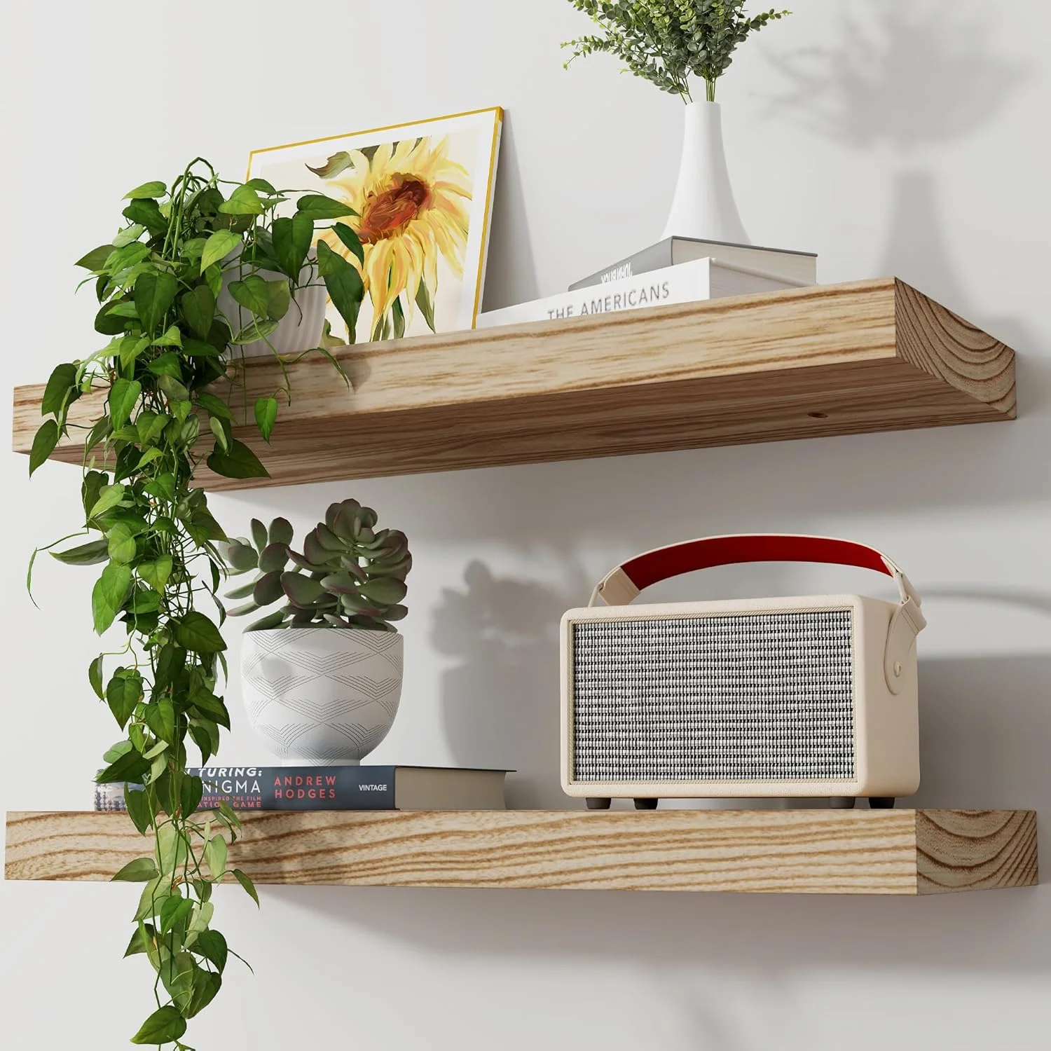 

2 Pack Modern Floating Shelves, 8 Inch Deep Solid Wood Wall Storage with Invisible Brackets, Light Carbonized Finish