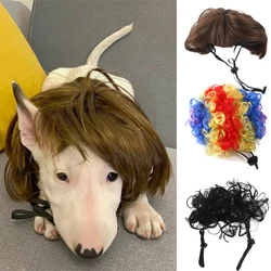 Funny Pet Wig Hat for Small Dogs Cats French Bulldog Chihuahua Puppy Hair Accessories Pet Supplies chien accessoires pour chiens
