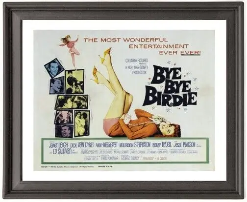 

Framed Poster Bye Bye Birdie 3 Picture Frame 16x12 inches Photo Paper Print