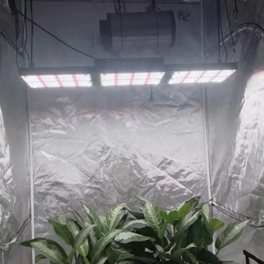 

Bava Led Crece La Luz 320w Quantum Lamp LM301H Oslon Red 660nm Horticultural Led Grow Light