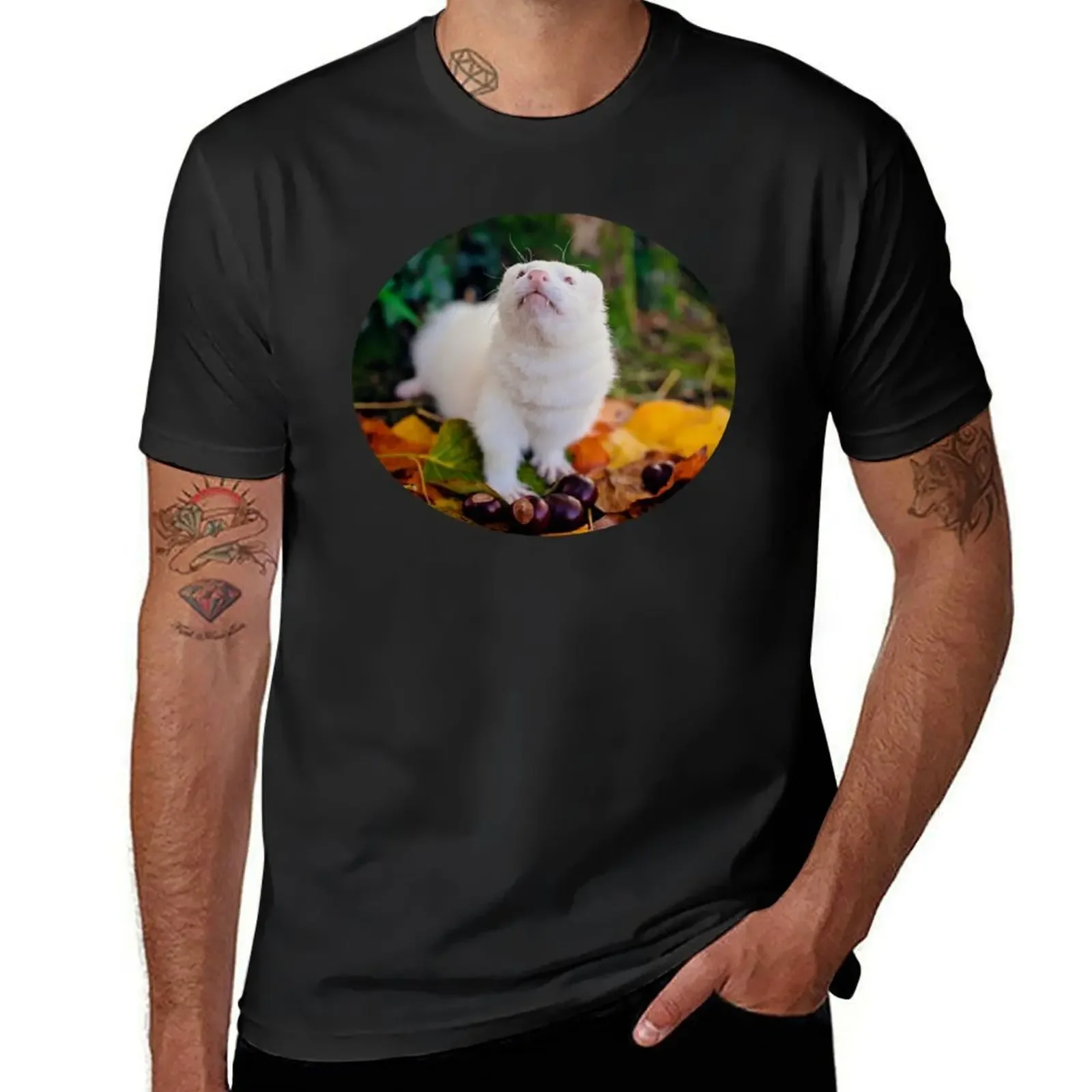 Albino Ferret Migaloo Autumn T-Shirt anime figures plus size clothes for a boy mens champion t shirts