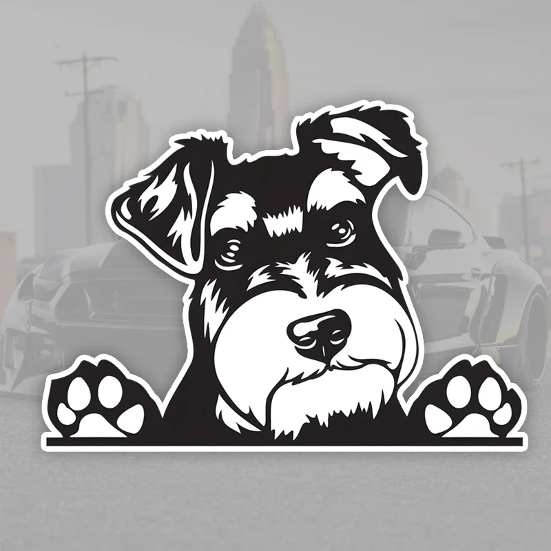 15x10.5cm Miniature Schnauzer Dog Vinyl Car Stickers Cute Waterproof Decals Bumper Window Auto Decor