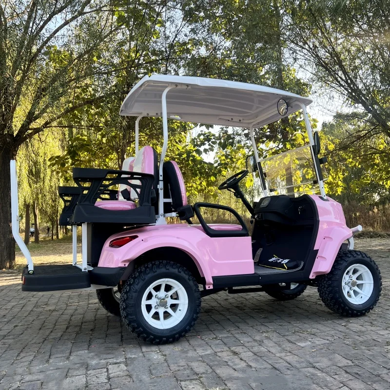 Fashion Style 48V 60V 4 Seats New Off Road Golf Cart Solar Fast Charging Support 72V Lead Acid Battery and Lithium Battery