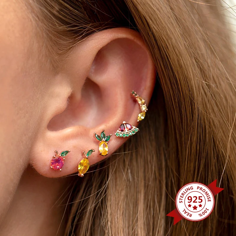 925 Silver Ear Needle Colorful Zircon Cute Dinosaur Animal Stud Earrings for Girls Strawberry Cherry Fruit Fashion Jewelry