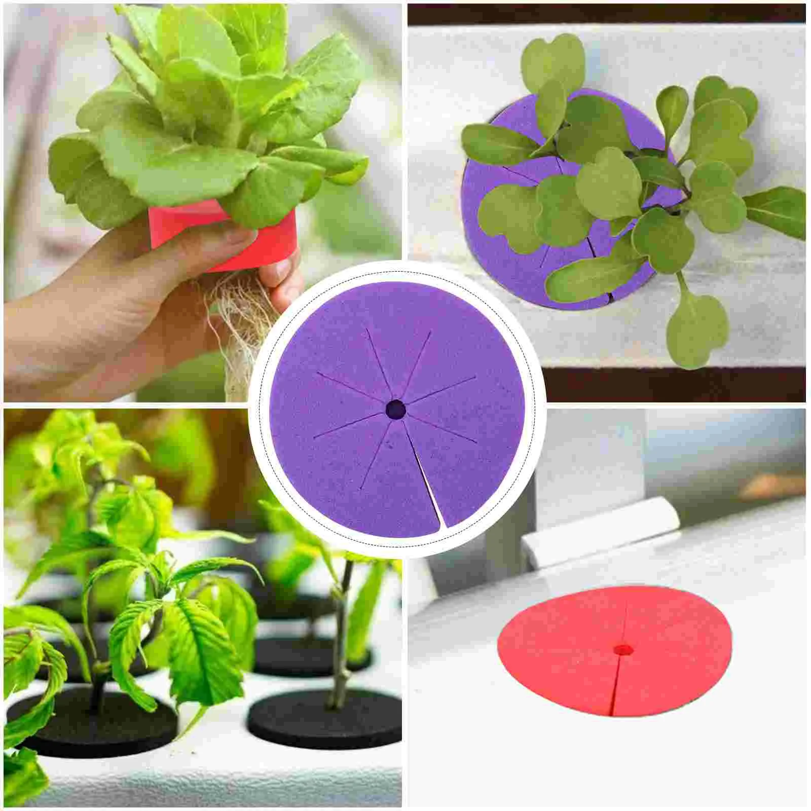 50 Pcs Plant Eva Cotton Gardening Supplies Clone Collars Blocks Soilless Planting Tool