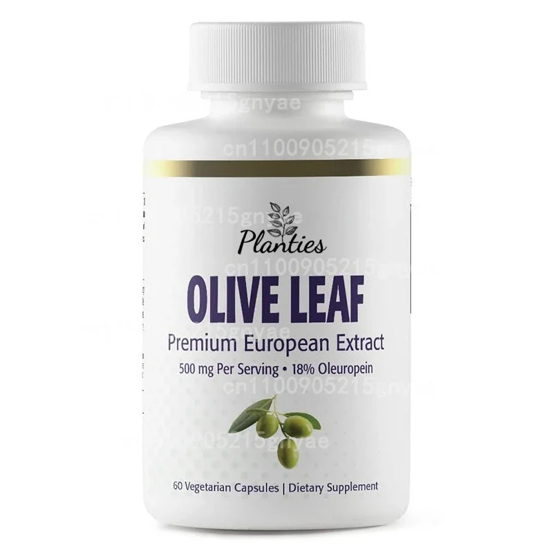 

Olive Leaf Extract – Boosts Antioxidants, Immunity & Supports Heart Health