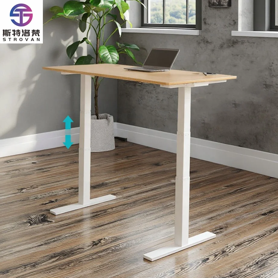 

Modern Home Office Electric Standing Desk 3-Stage 2 Motor Height Adjustable Convertible Sit-Stand for Work