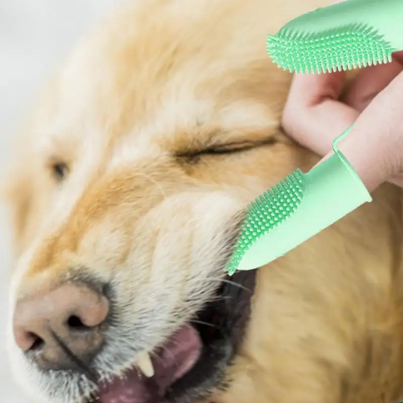 Brosse à dents pour chien, brosse à doigts pour un nettoyage facile des dents, Design ergonomique adapté aux chiots et chats