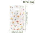 10pcs Hand Bag 5