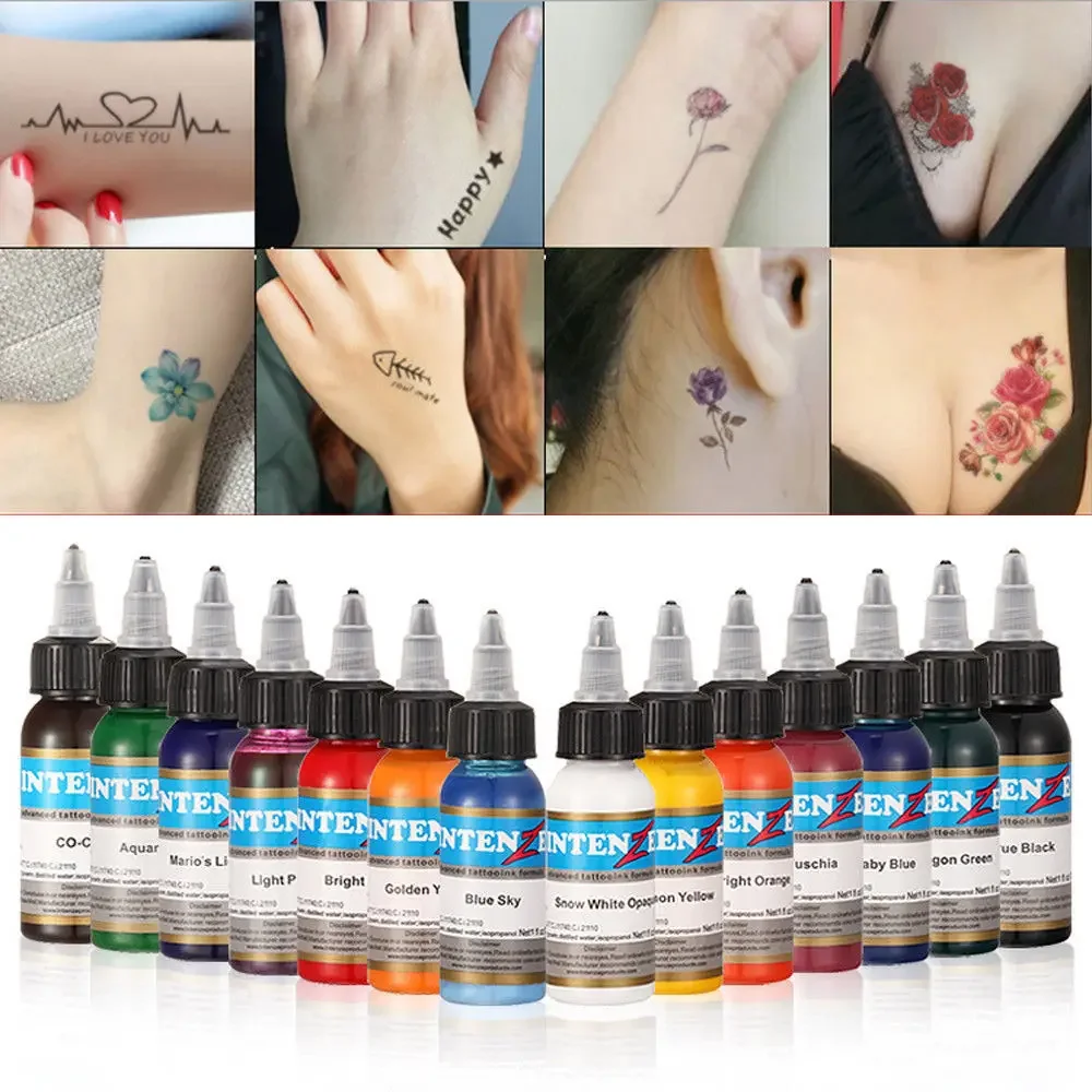 Tattoo Inkt 14 Kleuren Set 30Ml Fles Tattoo Pigment Kit Body Art Verf Tool