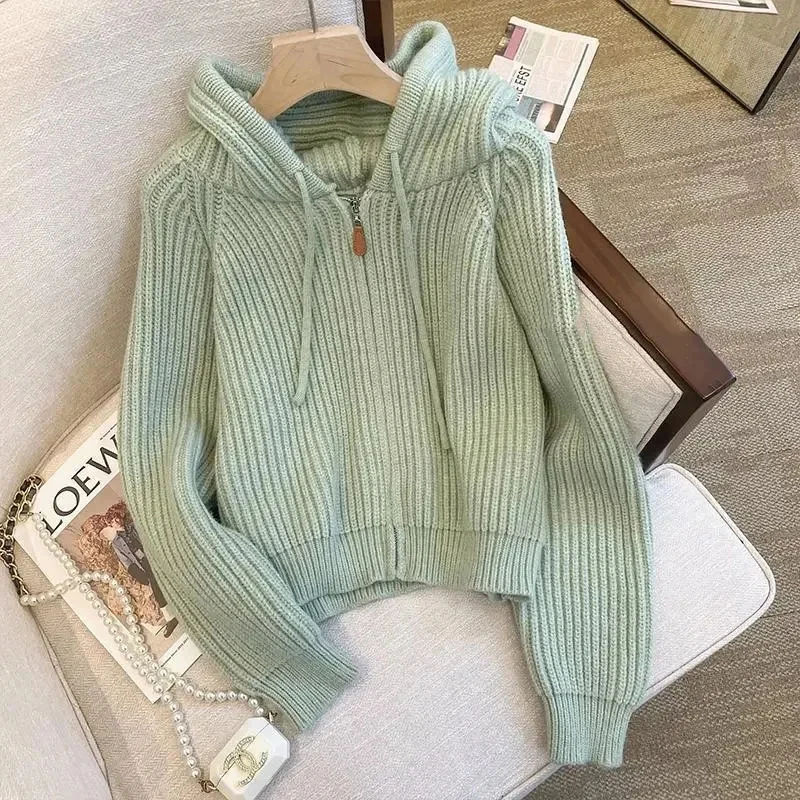 2024 Spring Autumn New Sweater Cardigan Jacket Women  Hooded Zipper Loose knitted Sweater Coat Female Casual Short Outerwear