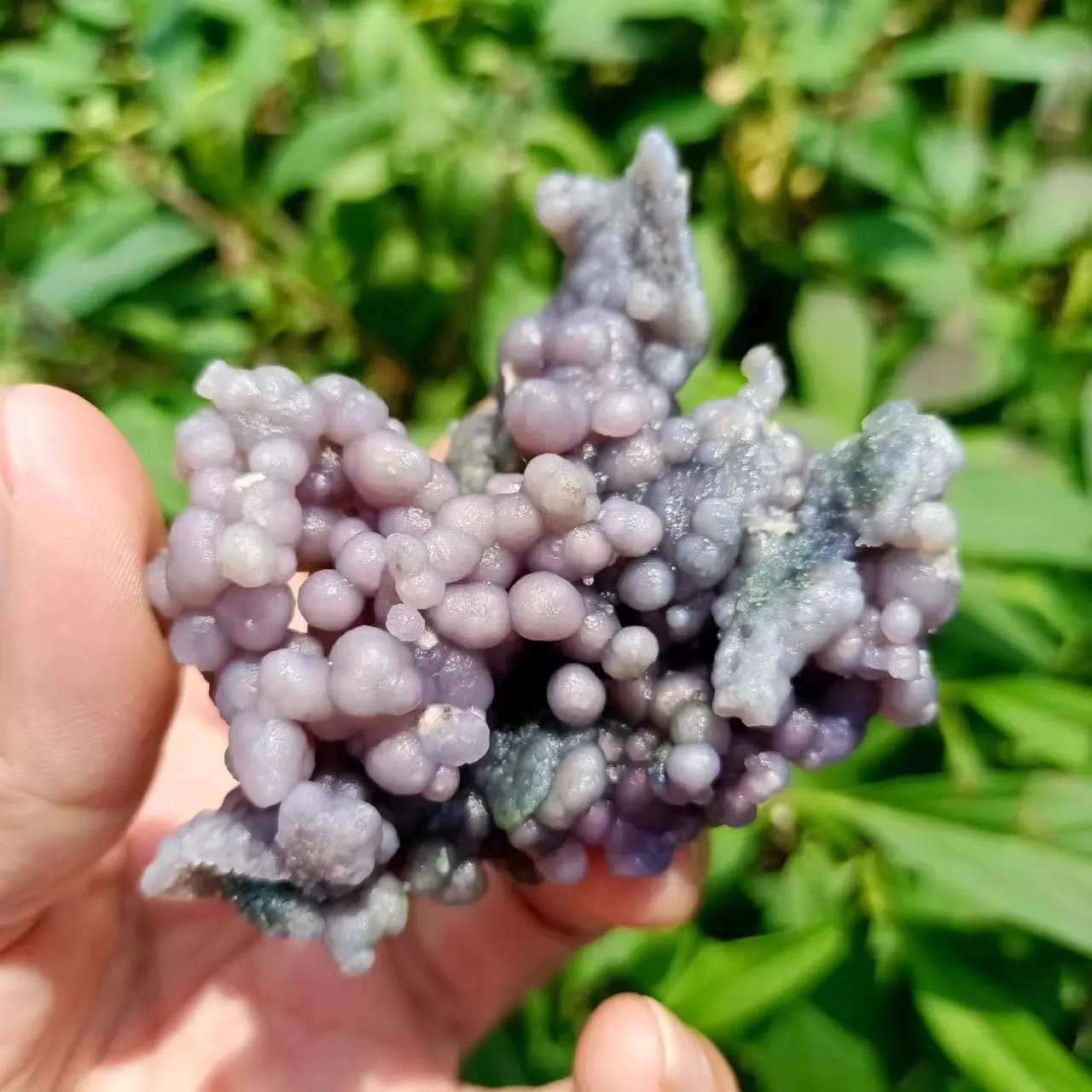 Natural Quartz Crystal Grape Agate Raw Stone, Grape Agate Jade, Mineral Specimen Healing, Energy Degaussing Decor