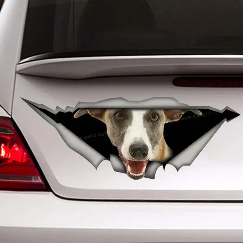 

Whippet Pet Dog Car Sticker Waterproof Vinyl Decal on Bumper Rear Window Laptop Self-adhesive Decal For Car Accessories SH97