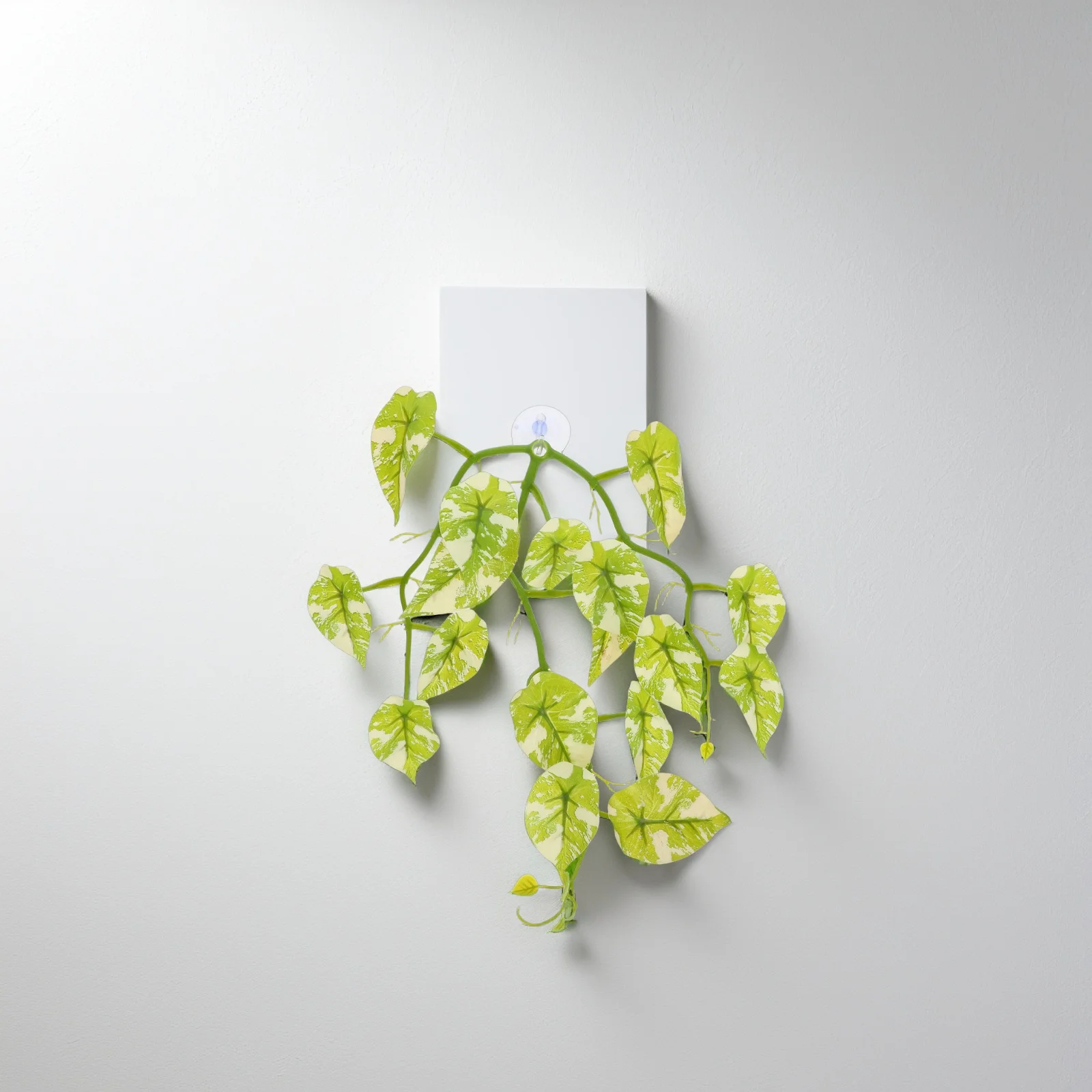 

Realistic Fake Reptile Plants for Terrarium with Suction Cup Artificial Hanging Vines Decorative Foliage for Reptile Tank