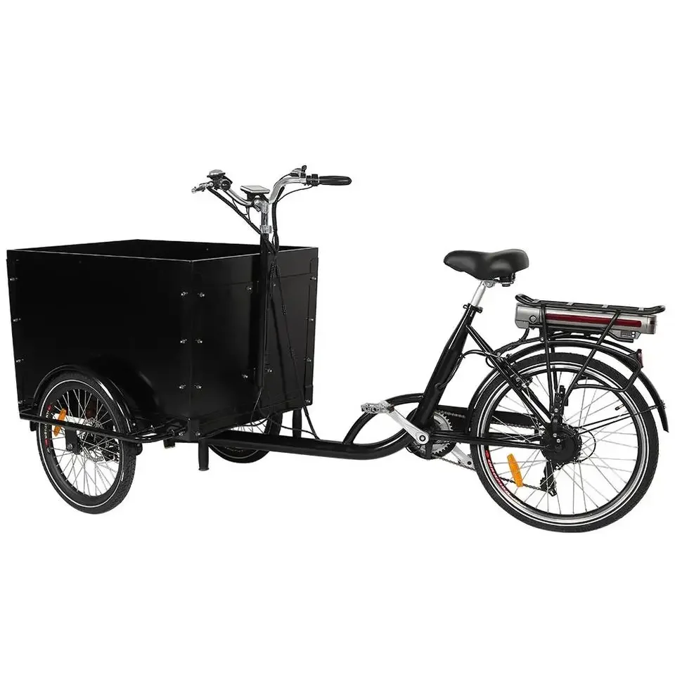 Fat Tire Ebike Electric Bicycle Chopper Electric Bike 3 Wheel Sidecar Hidden Battery City Cycle