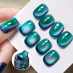 BORN PRETTY 10ml Auroras Blue Cat Magnetic Gel Nail Polish for Winter Nails Jelly Glass Water Light Varnis Semi Permanent Nail