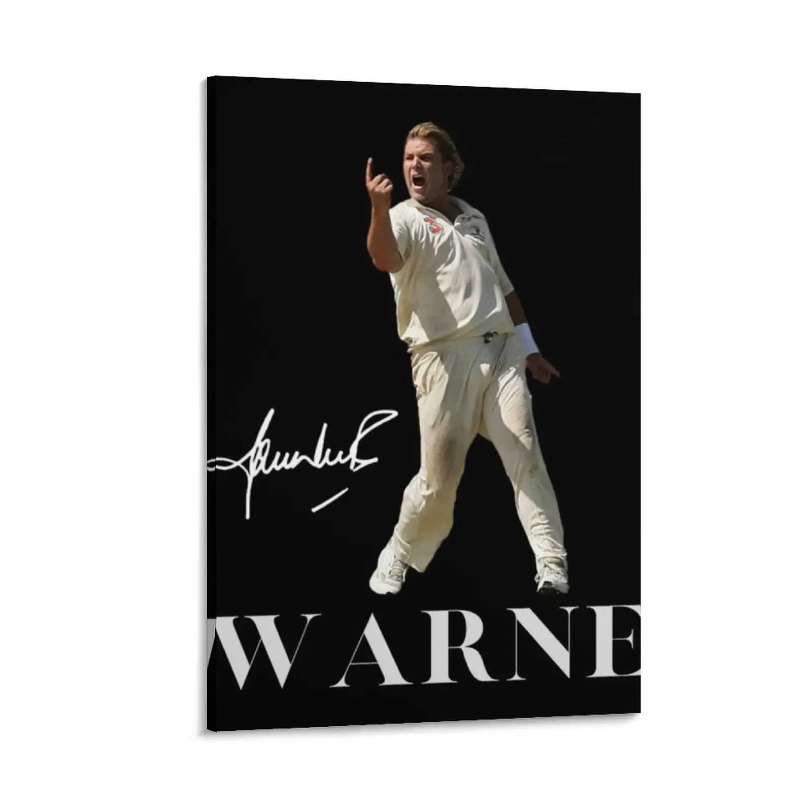 

shane warne rip shane warne shane warne Canvas Painting Decoration for bedroom japanese room decor Decoration