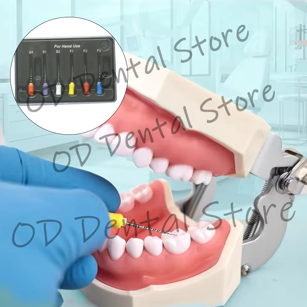 

Dental NiTi Root Canal Files Large Taper Endodontic Needle Files Sx F3 for Handle Use Endo Instruments for Dentists
