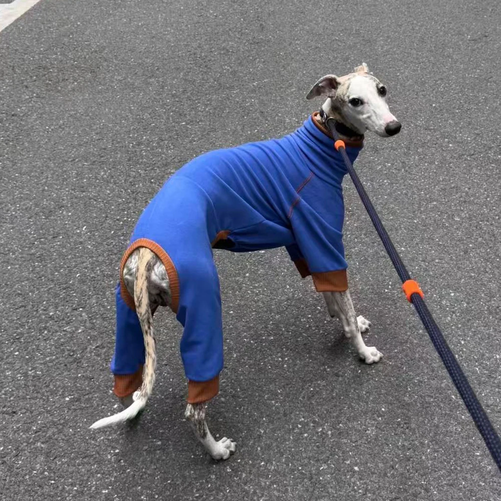 Primavera Invierno Flecce azul sudadera de 4 patas para Whippet otoño abrigo cálido para Bedlington Italia galgo café perro pijamas