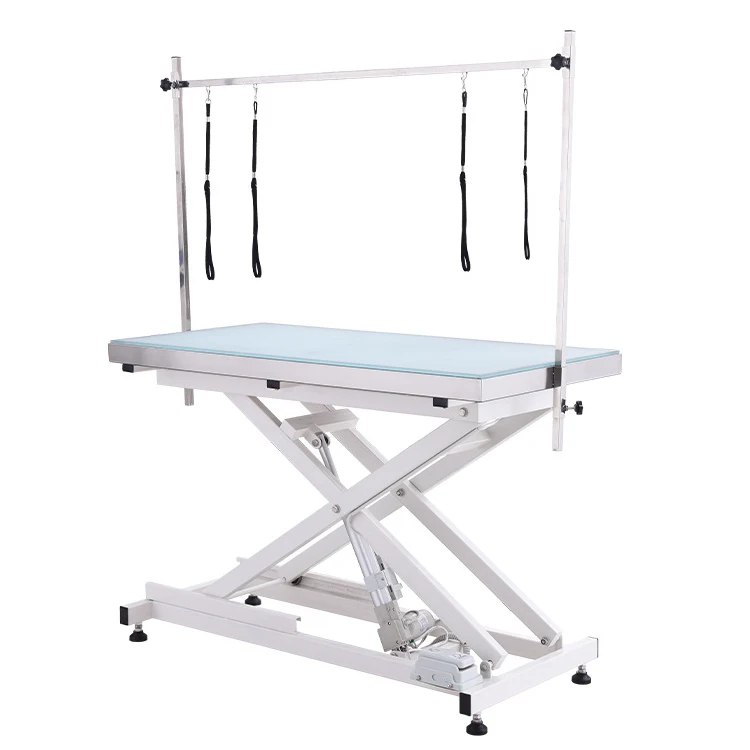 

Scissor Lift Table Pet Grooming Table 2023 Aeolus Low-Low Electric Lifting Table