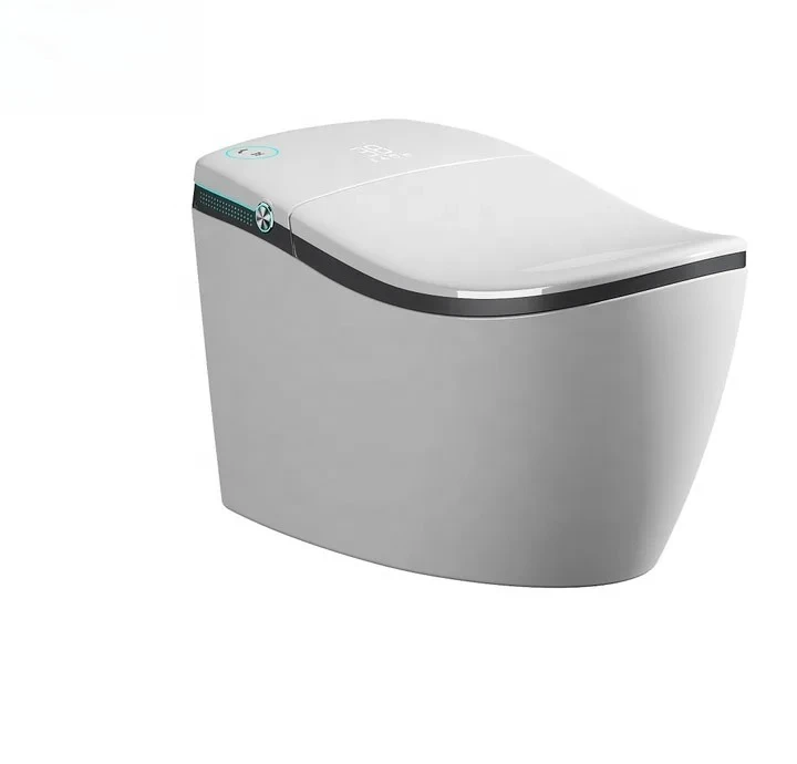 

Современный умный туалет, сантехника, автоматическая электрическая крышка для биде, напольное крепление для отелей, пульт дистанционного управления, расширенная функция