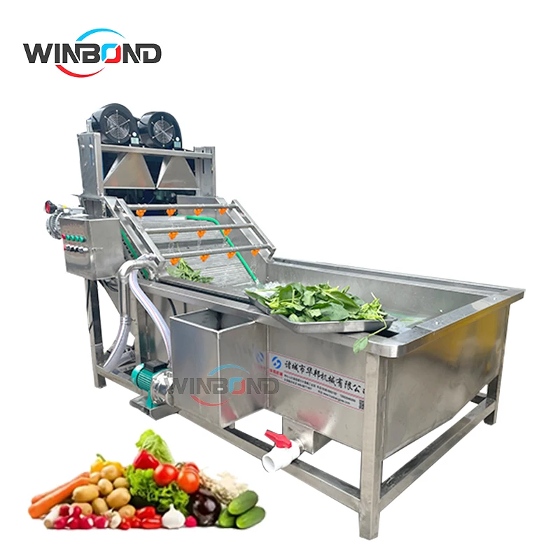 

Fruit Cleaner Vegetable Washer Washing Machine for Fruit and Vegetable