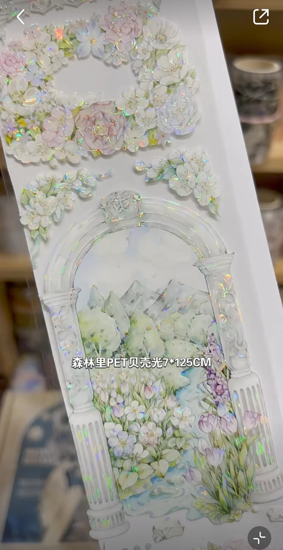 5M Magic Hall, Shell Shiny Pet Washi Tape Planner Journal Badge Tło