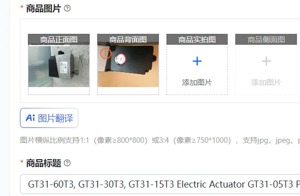 

GT31-60T3, GT31-30T3, GT31-15T3 Electric Actuator GT31-05T3 Proportional Motor