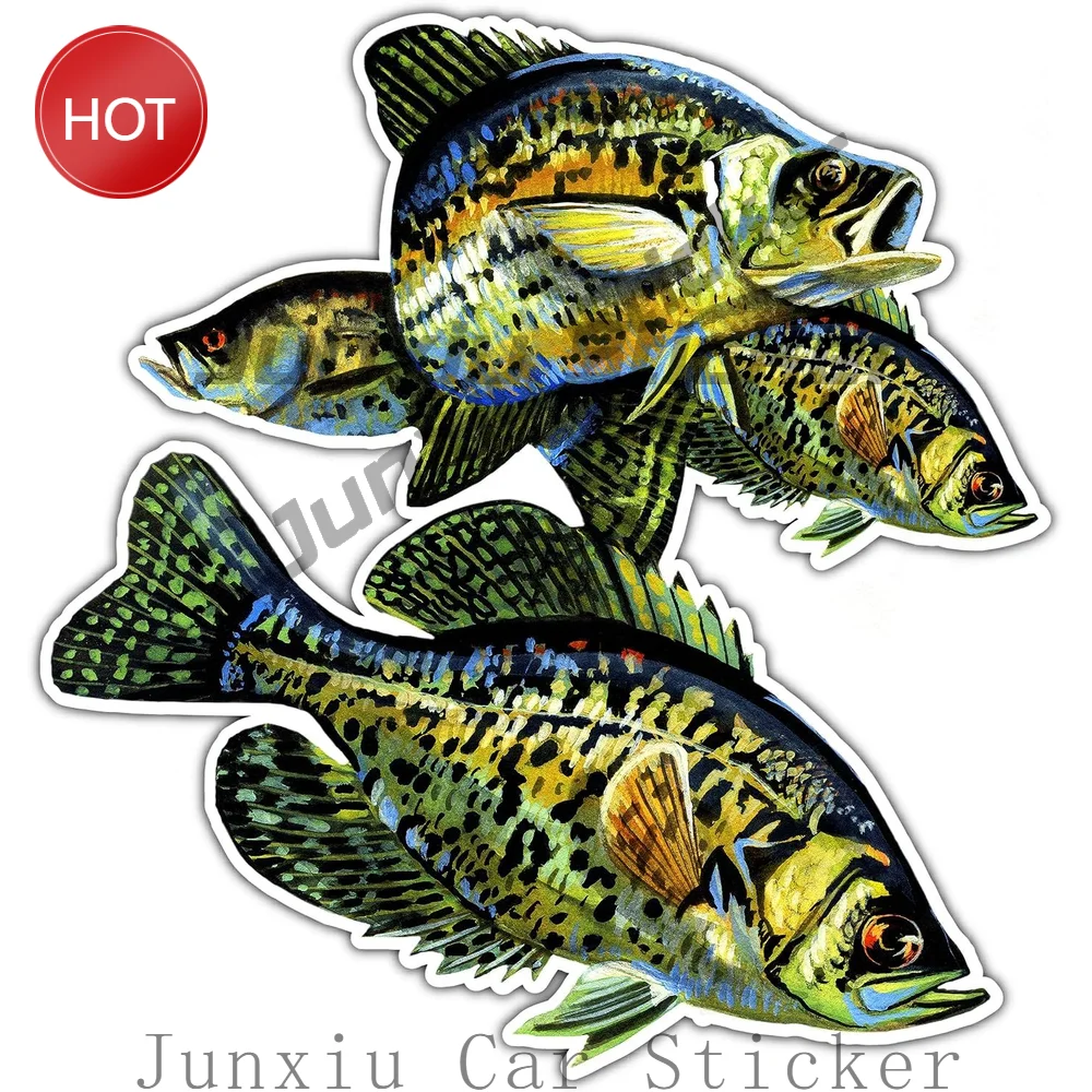 Crappie Freshwater Wildlife PVC Vinyl Sticker For Vehicle Bumper And Laptop Graphic Decoration For Anglers Decal