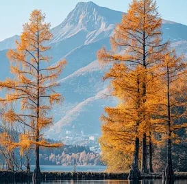 Carplay 1 Din Radio Android Car Multimedia for VW Volkswagen Passat B5 Variant 1997-2005 6.86