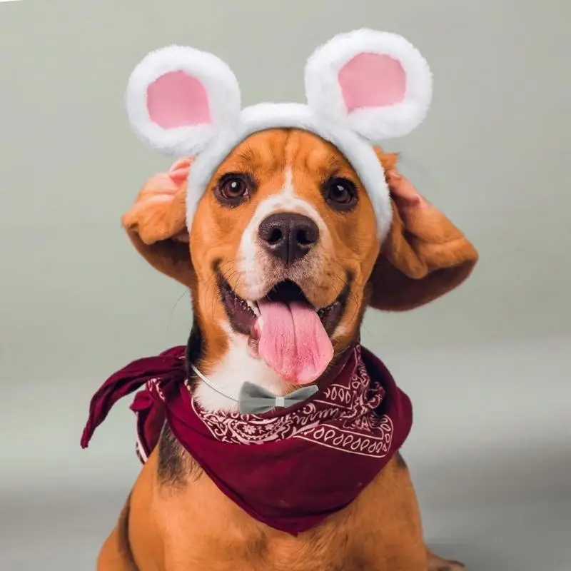 652F Chuột Đầu Đuôi Mù Mía Bowtie Kính Chuột Trang Phục Bộ Phụ Kiện Trang Phục Hóa Trang Halloween Cosplay Đạo Cụ