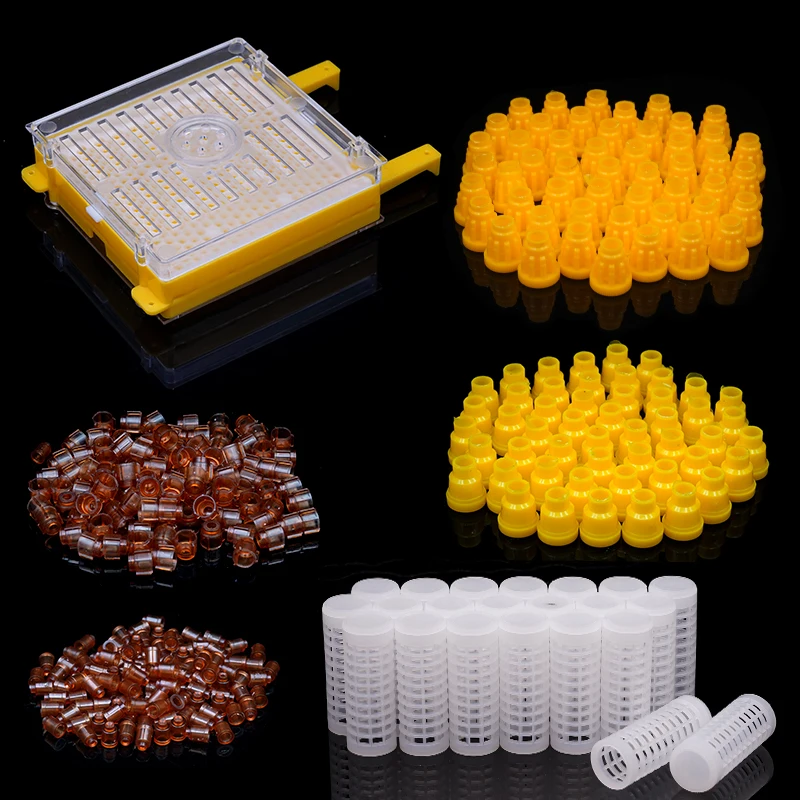 

1Set Bee Queen Rearing Kit Apiculture Tools for Beekeeping Box Larva Move Cage Plastic Cell Cups Cage Holder Bee Breeding System