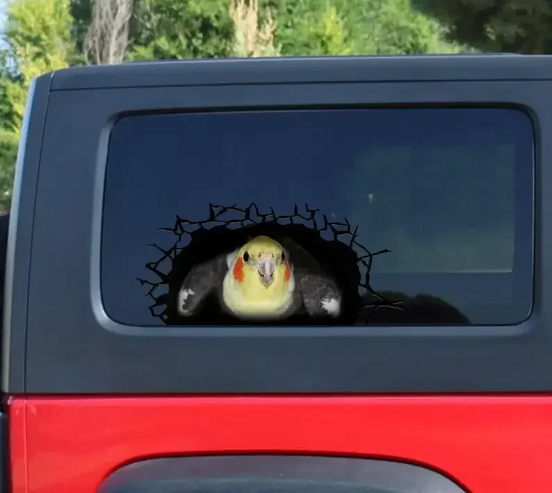 Cockatiel 3D sticker, cracked window decal , funny Cockatiel decal