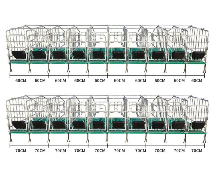 

Hot Galvanized Gestation Crates for Pigs Gestating Pen Gestation Cage for Pig Farm Equipment