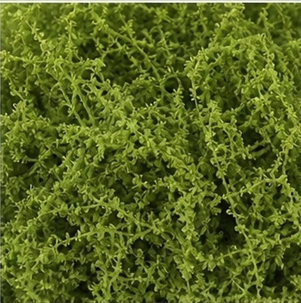 Safe Non Toxic Faux Reindeer Moss for Home Office Garden Terrariums Potted Plants Landscaping Dioramas Centerpieces Floral