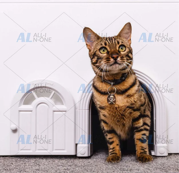 The cat is free to enter and exit door, cat door is safe and silent, and cat door is free to enter and exit.