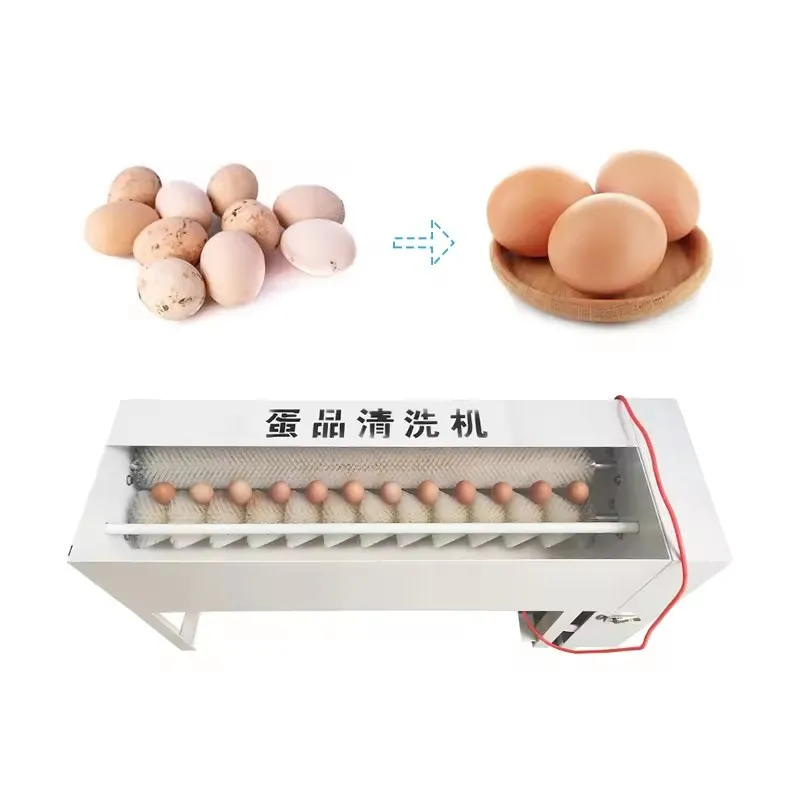 Food Processing Brush Cleaning Machine Automatic Egg Washing Machine