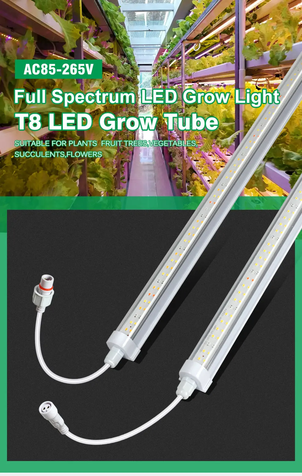 T8 Smd2835 5000K 660Nm 730Nm Veg&Bloom Vollspektrum LED-Wachstumslichtröhre für Gewächshauspflanzen und Setzlinge – Detail 2