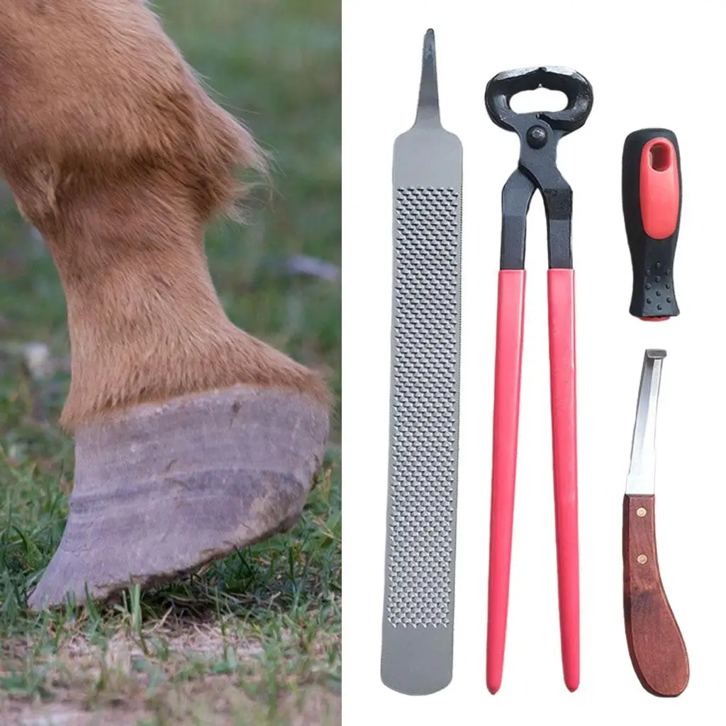 Farrier Tools, Horses Hoof Tools,Rasp Hoof Cutter Set, Suitable for