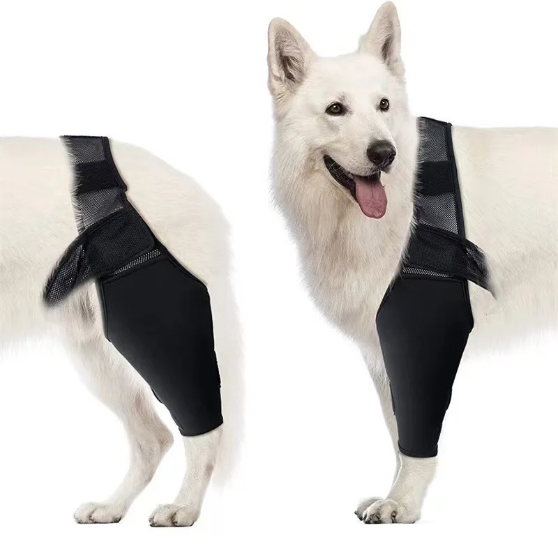 Pet Dog Knee Brace For Joint Pain Muscle Sore Leg Brace Rear Leg Bracer Support For Elderly Disabled Injured Dogs