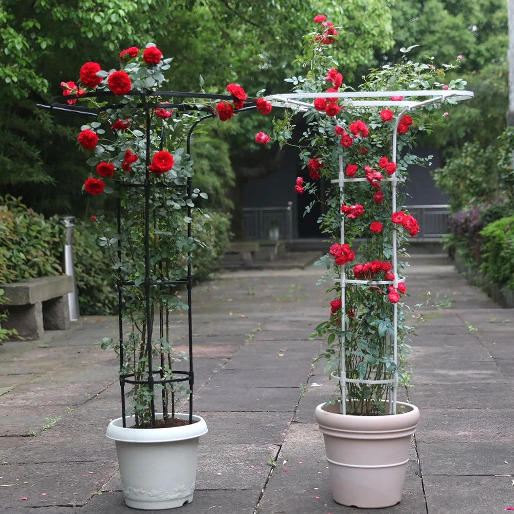 Umbrella-shaped Pergola Climbing Frame Climbing Rose Support Balcony Ivy Support Courtyard Outdoor Rose Ironwork Climbing Frame