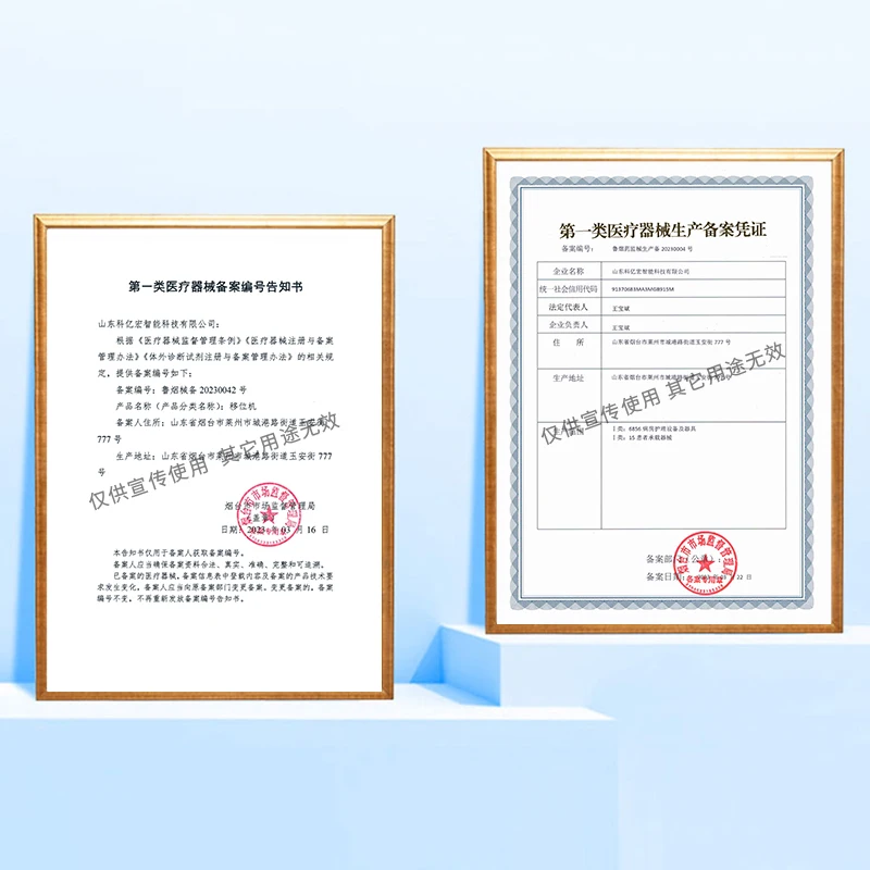 Lifter Standing Chair Rehabilitation Training Section Standing Bed Non-Strap Household