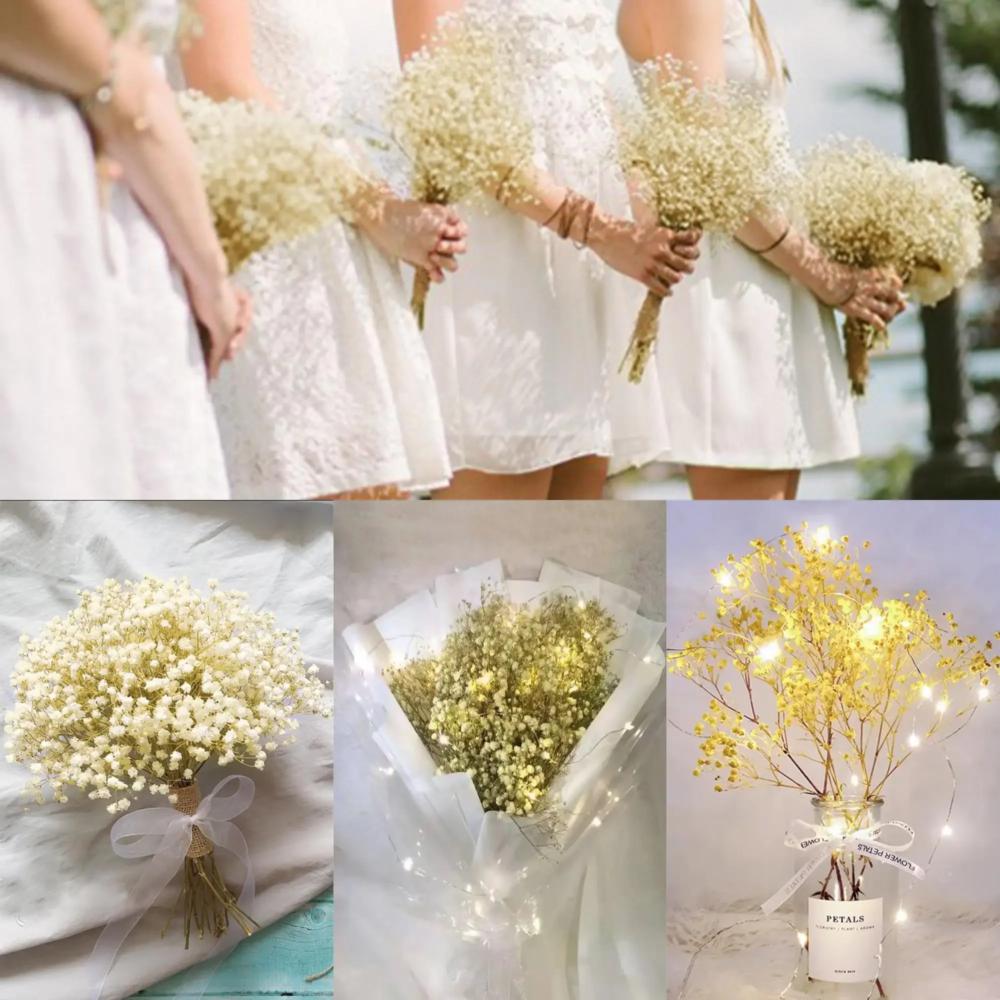 50pcs Natural Mini Dried Baby's Breath Flowers Real Touch Small Bundle for Resin Crafting DIY Wedding Home Decor Gift