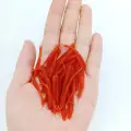 XZ015 10 piezas ROJO