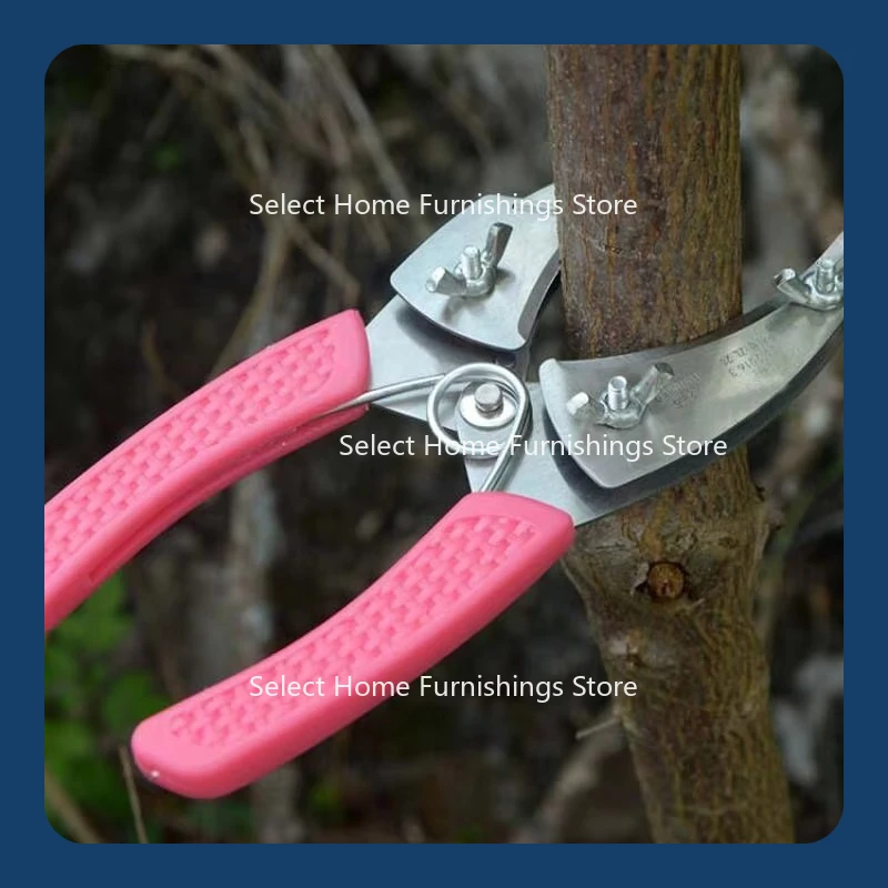 Bewerben Sie sich für den Garten, einen Obstbaum-, Rund- und Rinde- und Setzlingenschneider