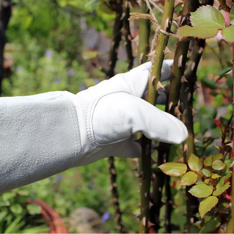1 Pair Thorn Proof Garden Gloves Waterproof Gardening Gloves for Rose Cactus Trimming Anti Prick Floral Work Garden Tools