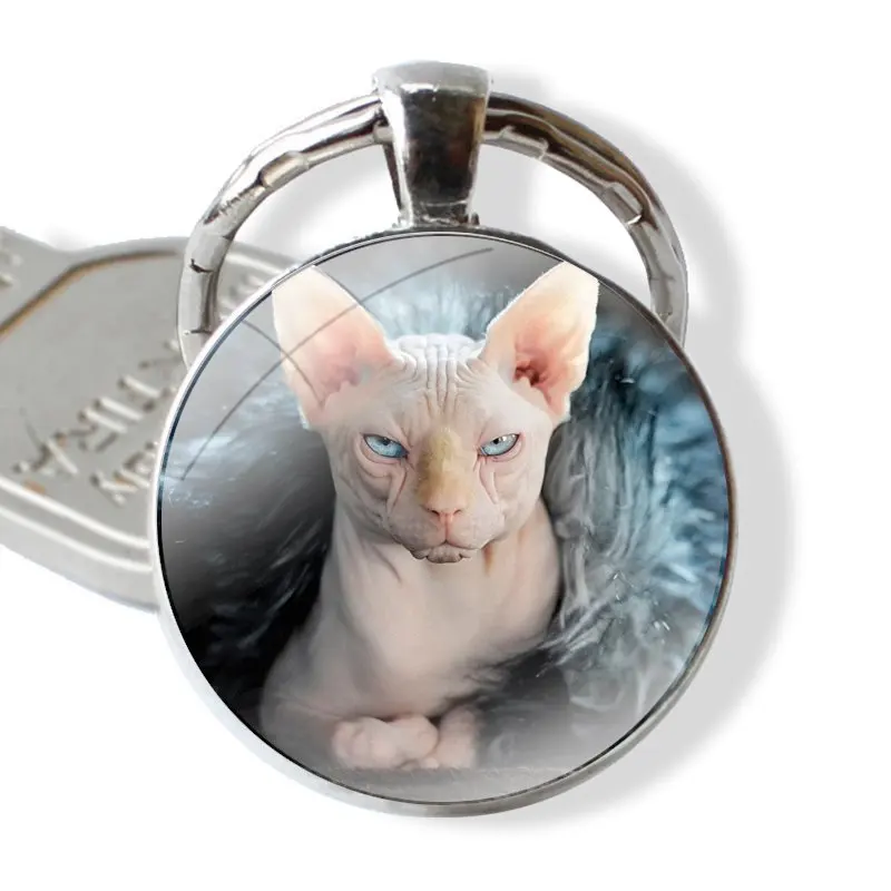 25mm Glass Cabohcon Keychain Key Rings for Women Men Jewelry Gift Canadian Hairless Beerus cat sphynx cat