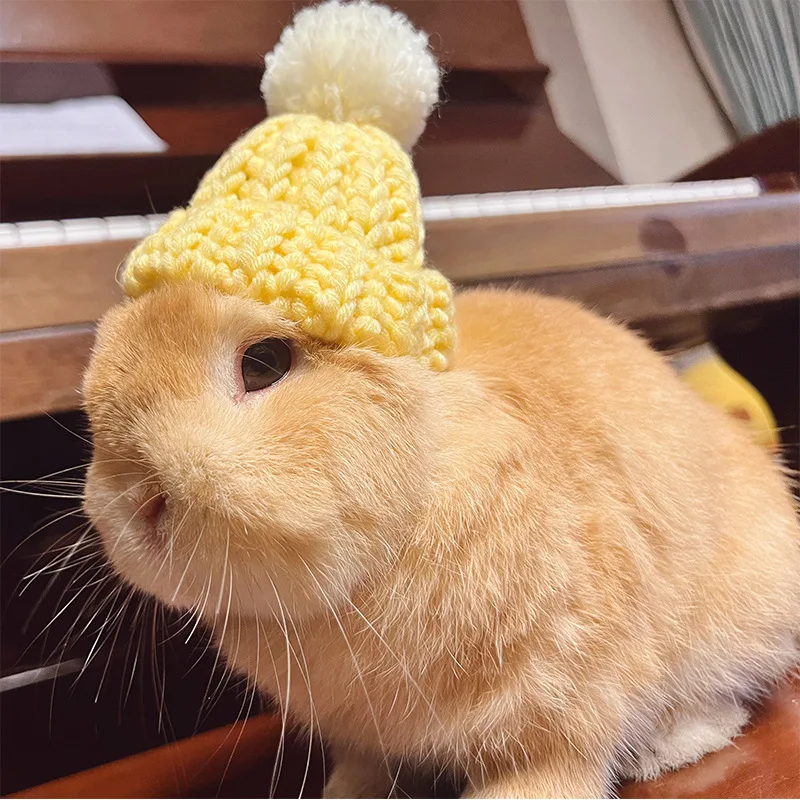 Rabbit Knitted Hat for Pet Rabbit Decorative Bunny Scarf Collar Small Animal Clothes Hat Guinea Pig Stuff Rabbit Pet Accessories