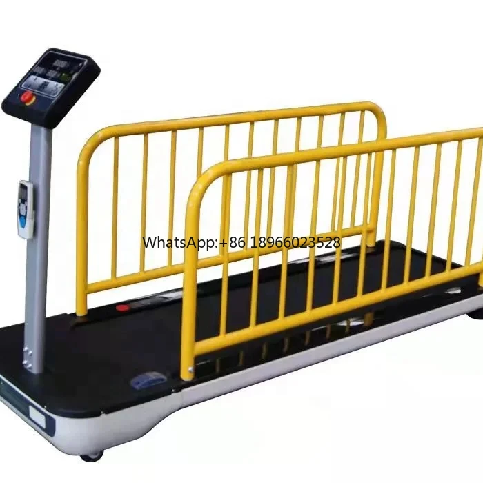 Dog Treadmill  Pet Dog Fitness Treadmill for Indoor Exercise with Remote Control Display Screen