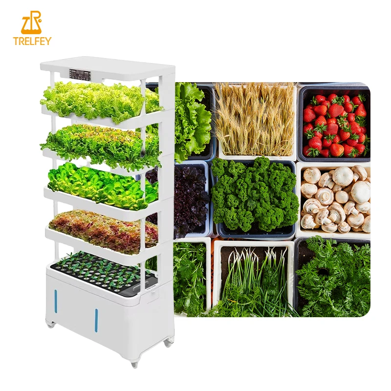 

Reenhouse Equipment Intelligent Vertical System Aeroponic Hydroponic Tower Planting Box for Agricultural